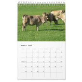Het hele jaar door met koeien! kalender (Mar 2027)