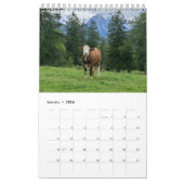 Het hele jaar door met  koeien! kalender (Jan 2026)