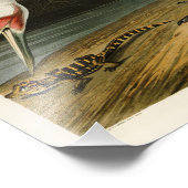 Het hele kraan John James Audubon Birds of America Foto Afdruk (Hoek)