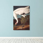 Het hele kraan, van 'Vogels van Amerika' Canvas Afdruk (Insitu (Houten vloer))