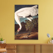 Het hele kraan, van 'Vogels van Amerika' Canvas Afdruk (Insitu (Woonkamer))