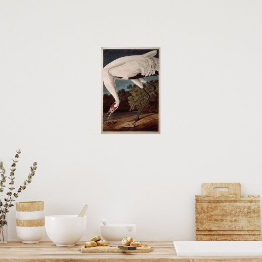 Het hele kraan, van 'Vogels van Amerika' Poster (Keuken)