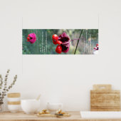 Het hele schema van dingen poster (Keuken)