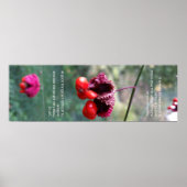 Het hele schema van dingen poster (Voorkant)