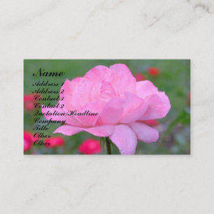 Het hemelse Roze nam het Visitekaartje van de