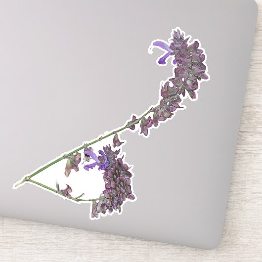 Het Herb Clary Sage | VinylSticker Sticker (Detail)