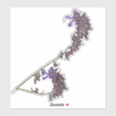 Het Herb Clary Sage | VinylSticker Sticker (Vel)
