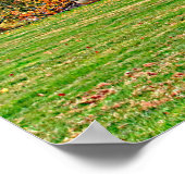 Het Herenhuis van Vanderbuilt Poster (Hoek)