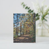 Het herfst bos pad briefkaart (Staand voorkant)