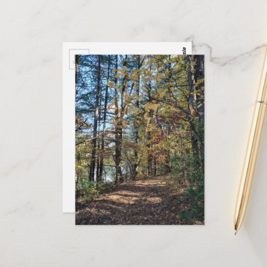 Het herfst bos pad briefkaart (Voorkant / Achterkant in situ)