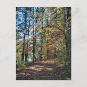 Het herfst bos pad briefkaart (Voorkant)