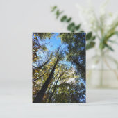 Het herfstbos briefkaart (Staand voorkant)