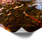 Het herfstbos weerspiegelde in Pond Poster (Hoek)