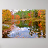Het herfstbos weerspiegelde in Pond Poster (Voorkant)