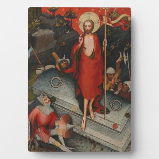 Het herstel fotoplaat (voorkant)