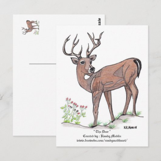 "Het hert" Briefkaart (Voorkant / Achterkant)