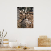 Het hert van de koning in Richmond Park, Londen, V Poster (Keuken)