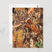 Het het Schilderen van de Camouflage van het Hunte Briefkaart (Voorkant / Achterkant)