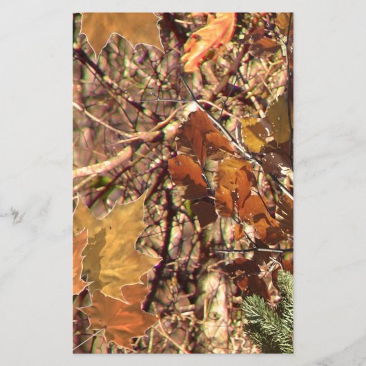 Het het Schilderen van de Camouflage van het Hunte Flyer (Voorkant)