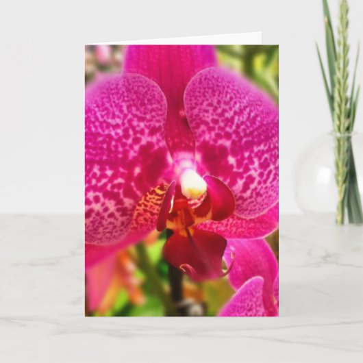 Het hete Roze Lege Wenskaart van de Orchidee Kaart (Voorkant)
