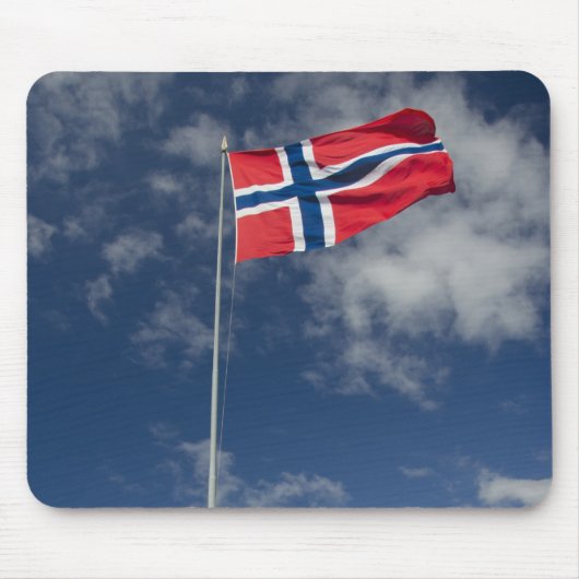 Het historische binnenhavengebied van Bergen met v Muismat (Voorkant)