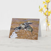 Het hoefijzer Wenskaart van de Krab - binnen Kaart (Gele Bloem)