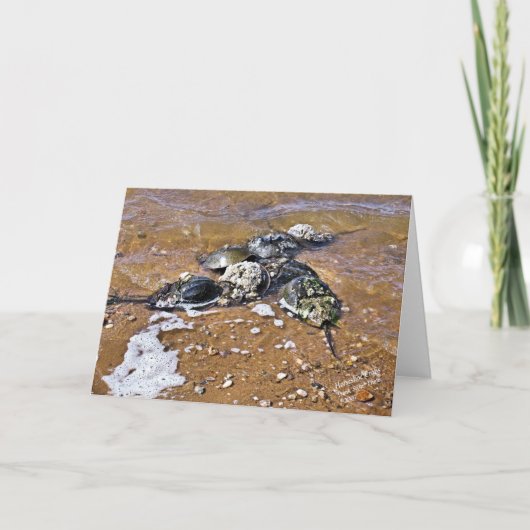 Het hoefijzer Wenskaart van de Krab - binnen Kaart (Voorkant)