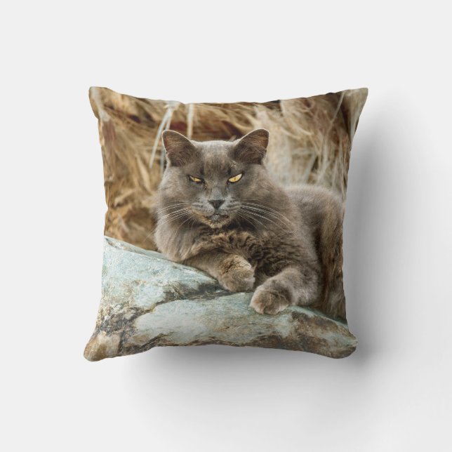 Het Hoesje van de Kat Pillow Kussen (Achterkant)