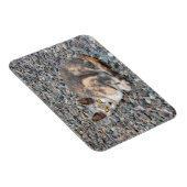 Het Hoesje van de Kat Pillow Magneet (Rechterzijde)