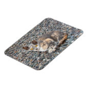 Het Hoesje van de Kat Pillow Magneet (Linkerzijde)