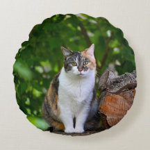 Het Hoesje van de Kat Pillow