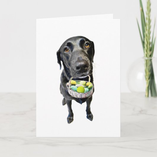 Het Hoesje van de mand Feestdagen Kaart (Voorkant)