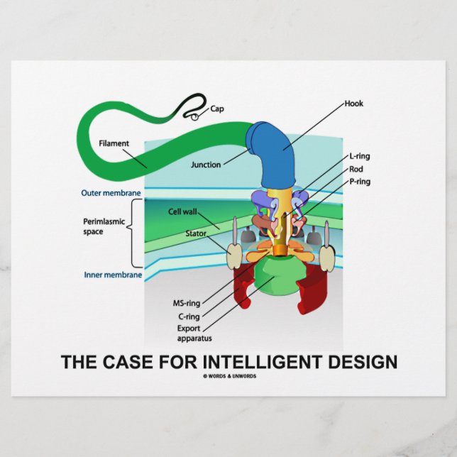 Het Hoesje voor intelligent ontwerp (Flagellum) (Voorkant)