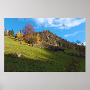 Het Hoge Weiland - Wilde Natuur Roemenië Poster