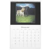 Het Holga Project Kleurkalender 2 - Gepersonalisee Kalender (Feb 2027)