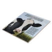 Het Holstein-ras Tegeltje (Zijkant)