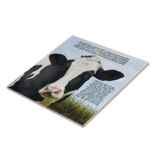 Het Holstein-ras Tegeltje (Zijkant)