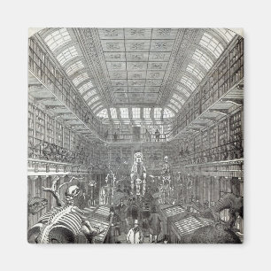 Het Hongaarse Museum Magneet