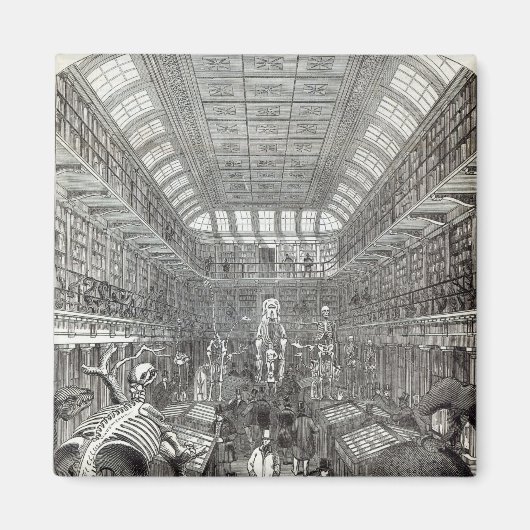 Het Hongaarse Museum Magneet (Voorkant)