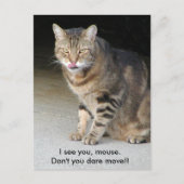 Het hongerige Briefkaart van de Kat (Voorkant)