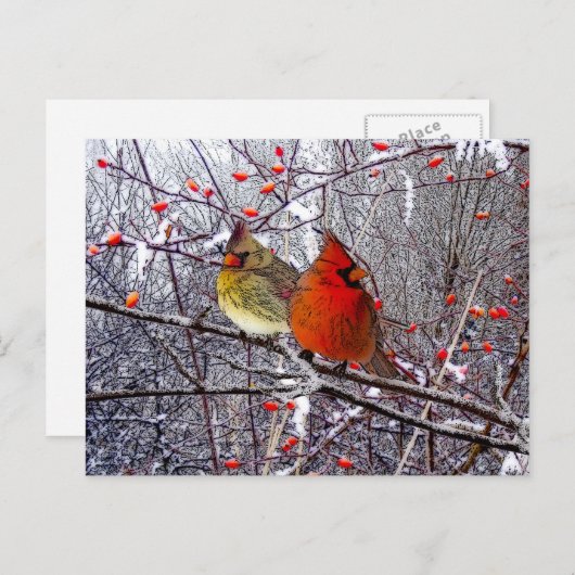 Het hoofd Briefkaart van Kerstmis (Voorkant / Achterkant)