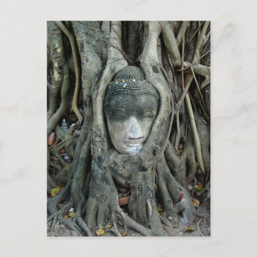 Het Hoofd van Boedha Briefkaart (Voorkant)