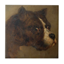 Het hoofd van een buldog (door Théodore Géricault) Tegeltje
