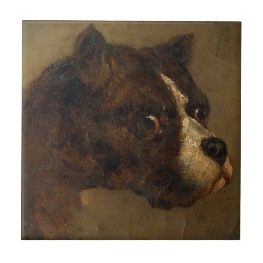 Het hoofd van een buldog (door Théodore Géricault) Tegeltje (Voorkant)