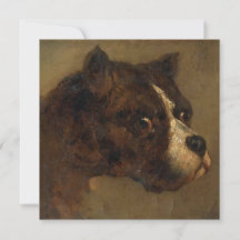 Het hoofd van een Bulldog