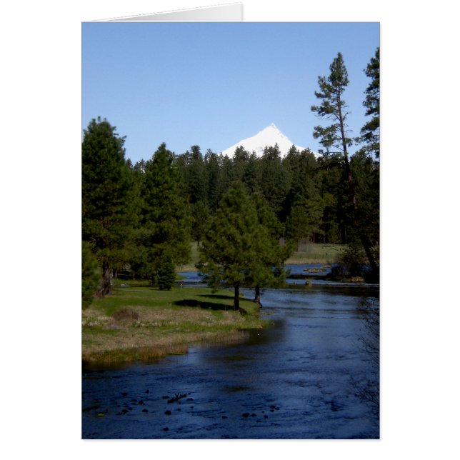 Het hoofd van het metolius (Voorkant)