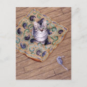 Het Hoofdkussen van Elliott Briefkaart (Voorkant)