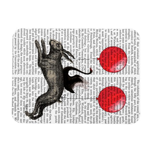 Het hoofdschip magneet (Horizontaal)