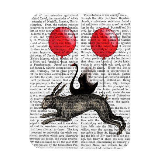 Het hoofdschip magneet (Verticaal)