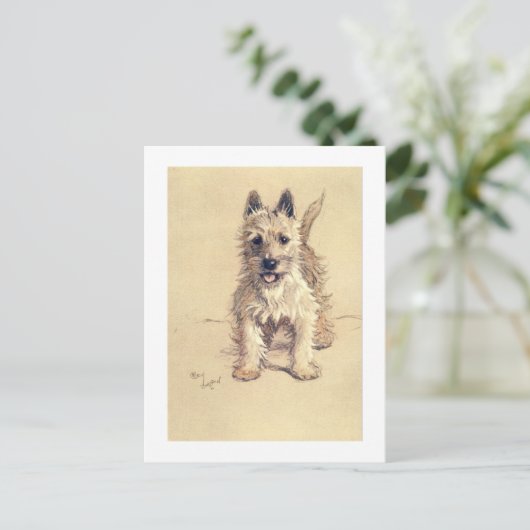 Het Hoogland Wit Terrier van het westen Briefkaart (Staand voorkant)